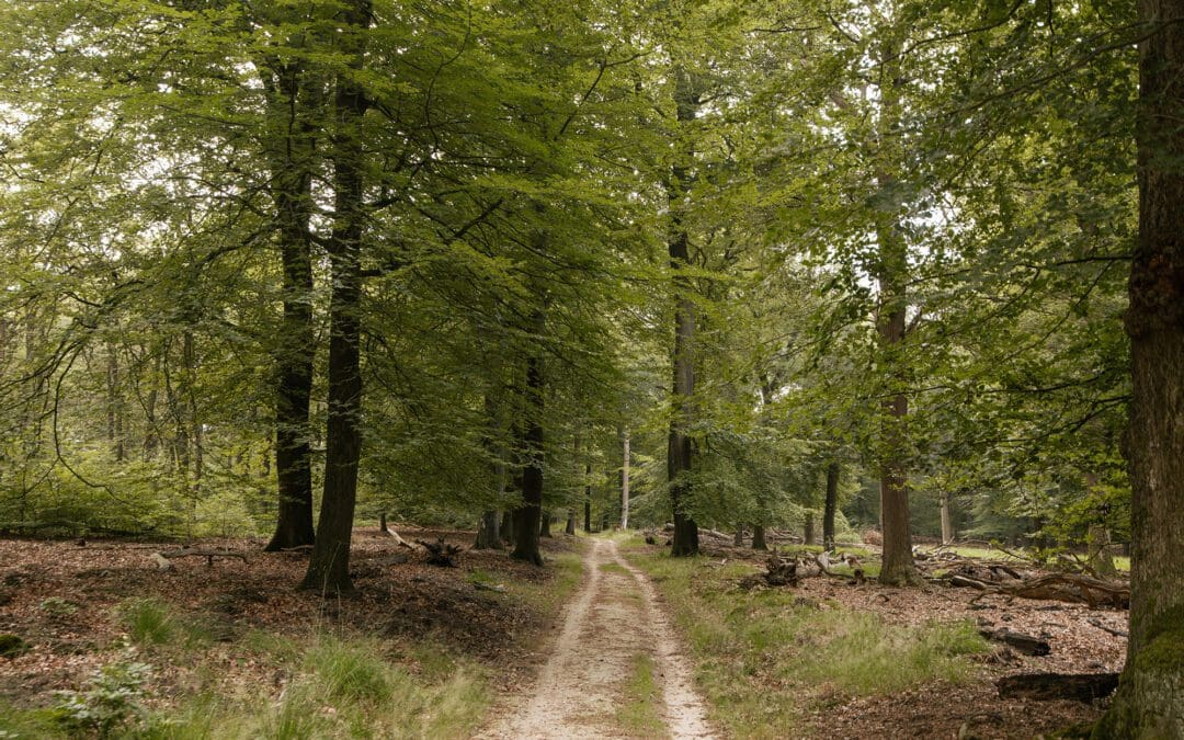 wandelroute Dassenberg