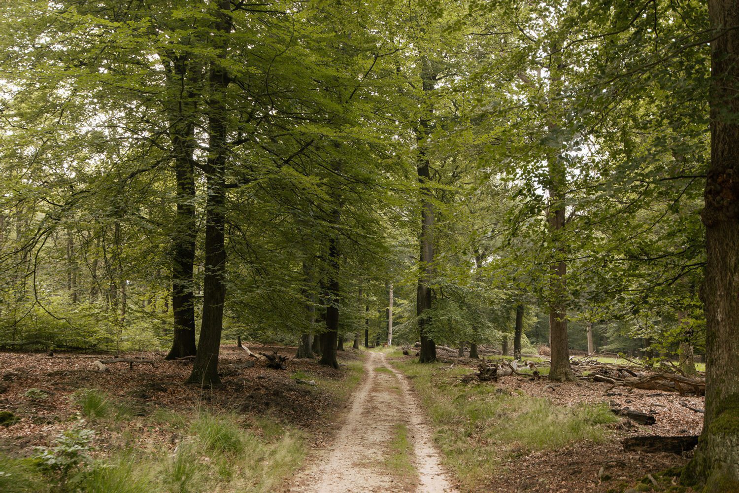 wandelroute Dassenberg