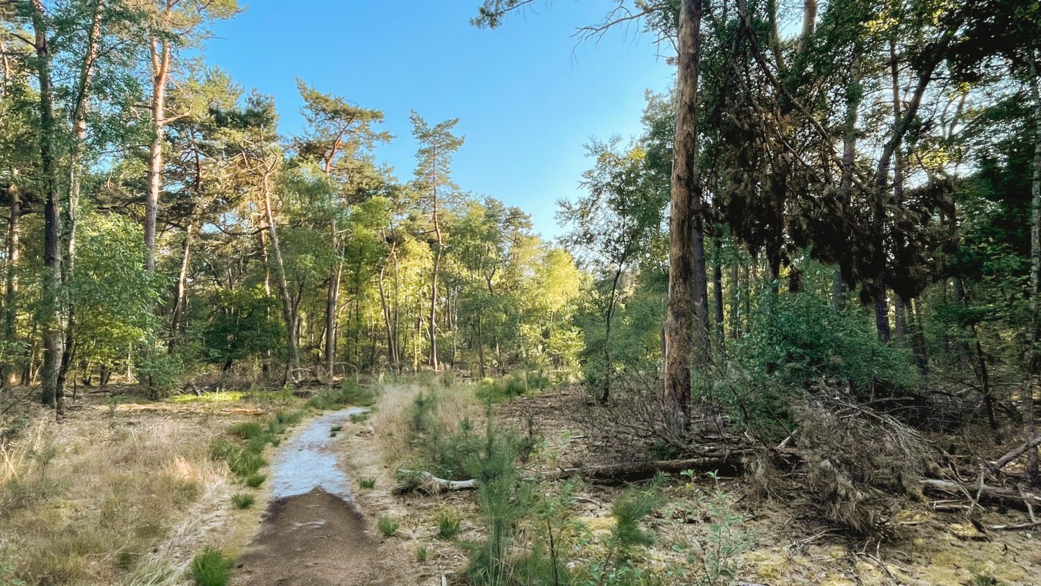 heideroute grote veld