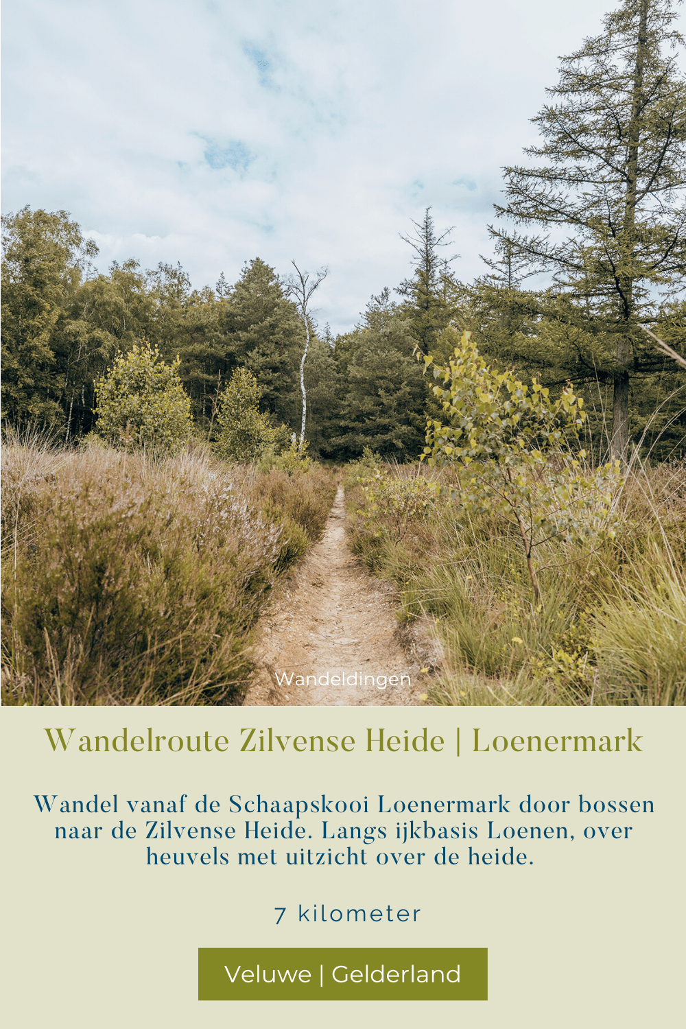 wandelen zilvense heide