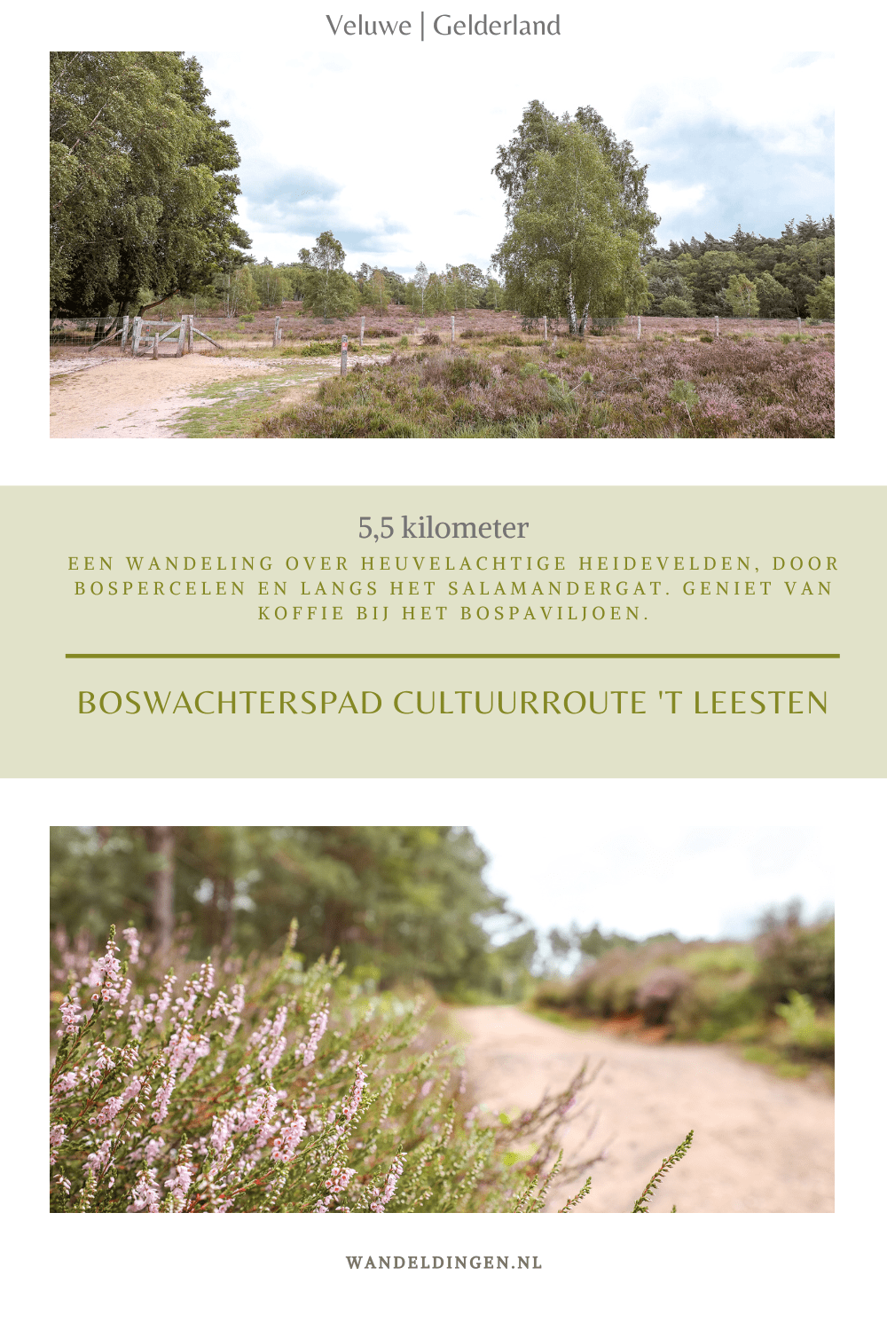 boswachterspad het leesten