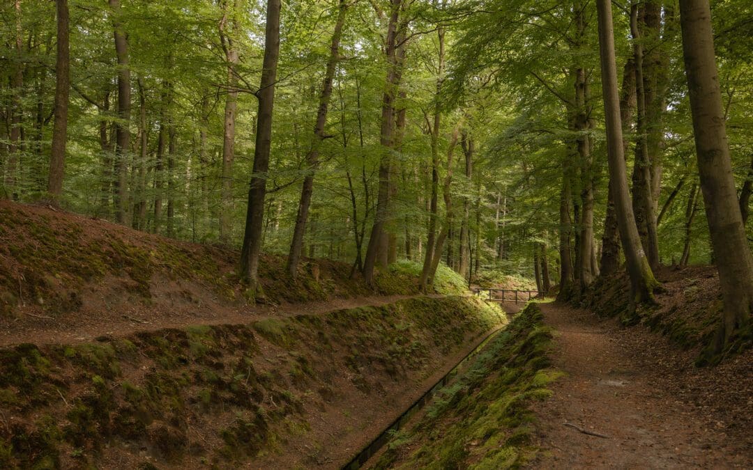 Rode wandelroute Paleispark Het Loo langs sprengen