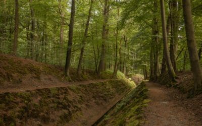 Rode wandelroute Paleispark Het Loo langs sprengen