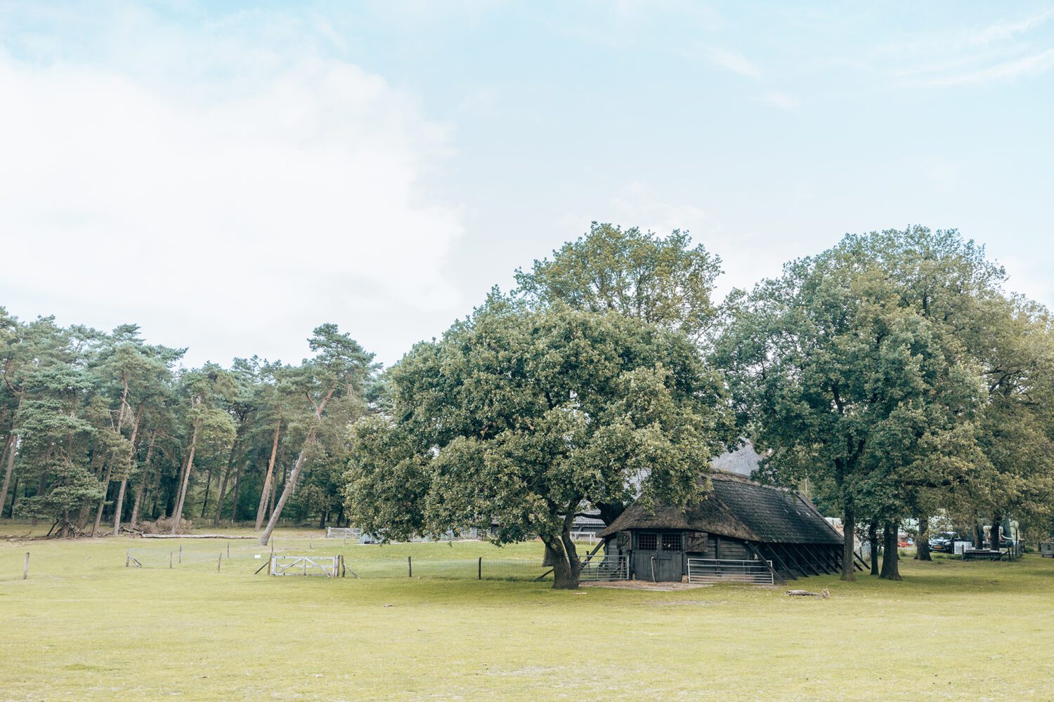 wandelen zilvense heide