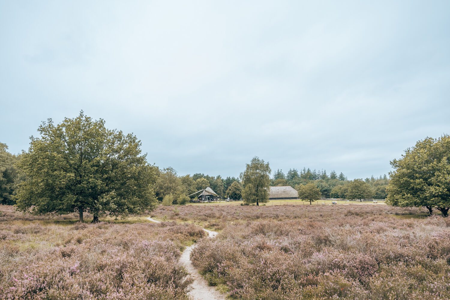 wandelen ermelose heide