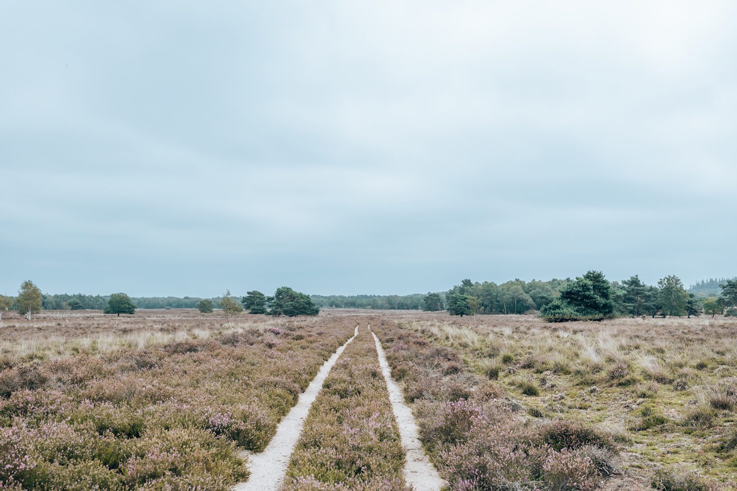 wandelen ermelose heide