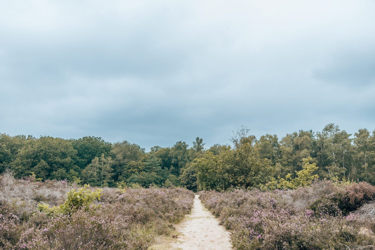 wandelen ermelose heide