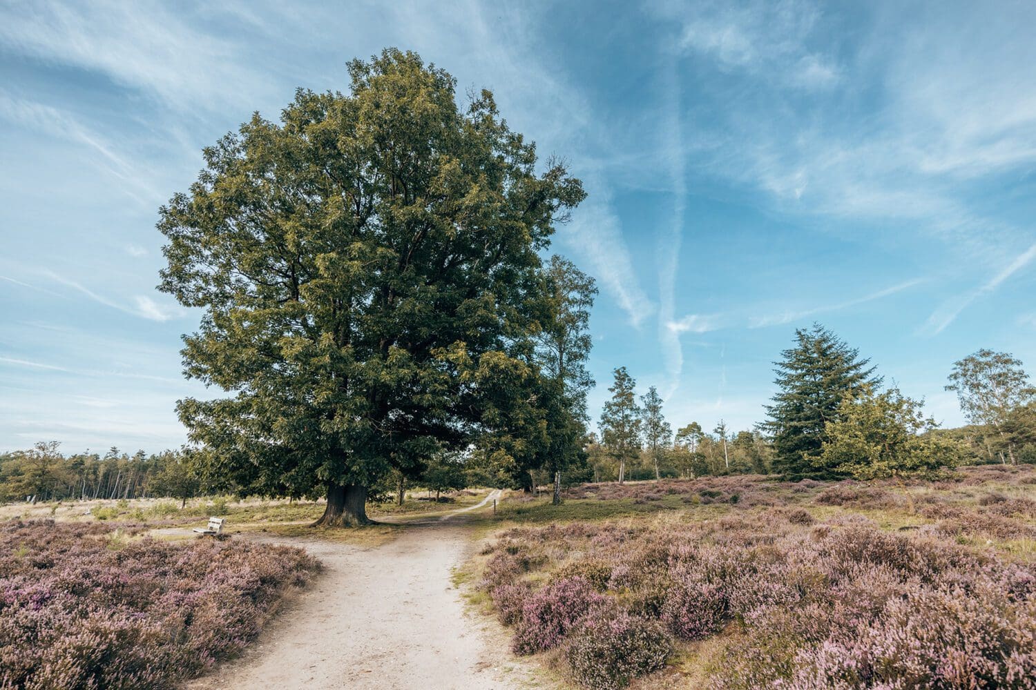 groene route nijverdal