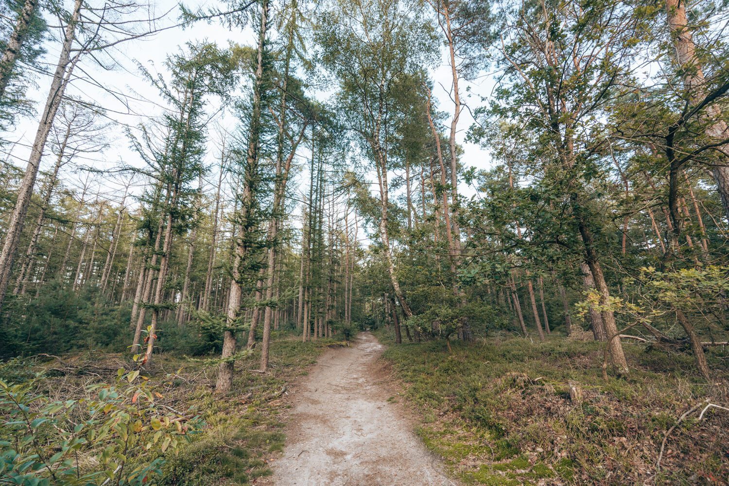 groene route nijverdal