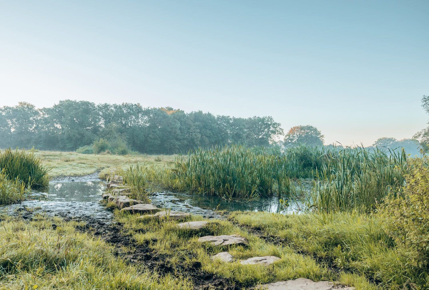 vensterbaankiesroute blauw