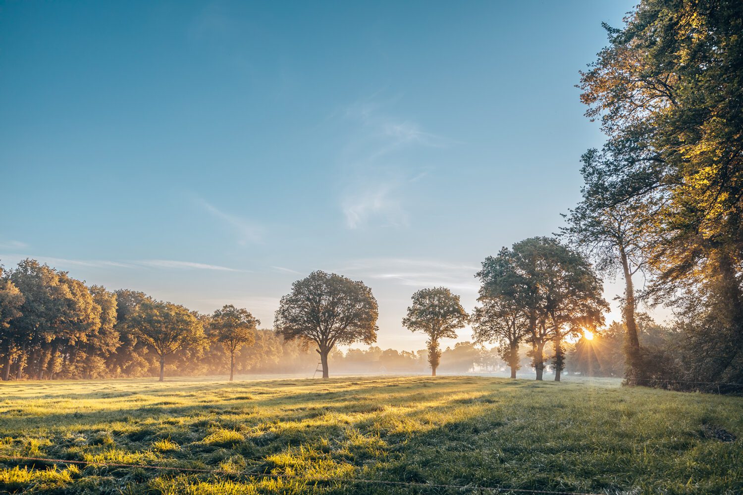 vensterbaankiesroute blauw