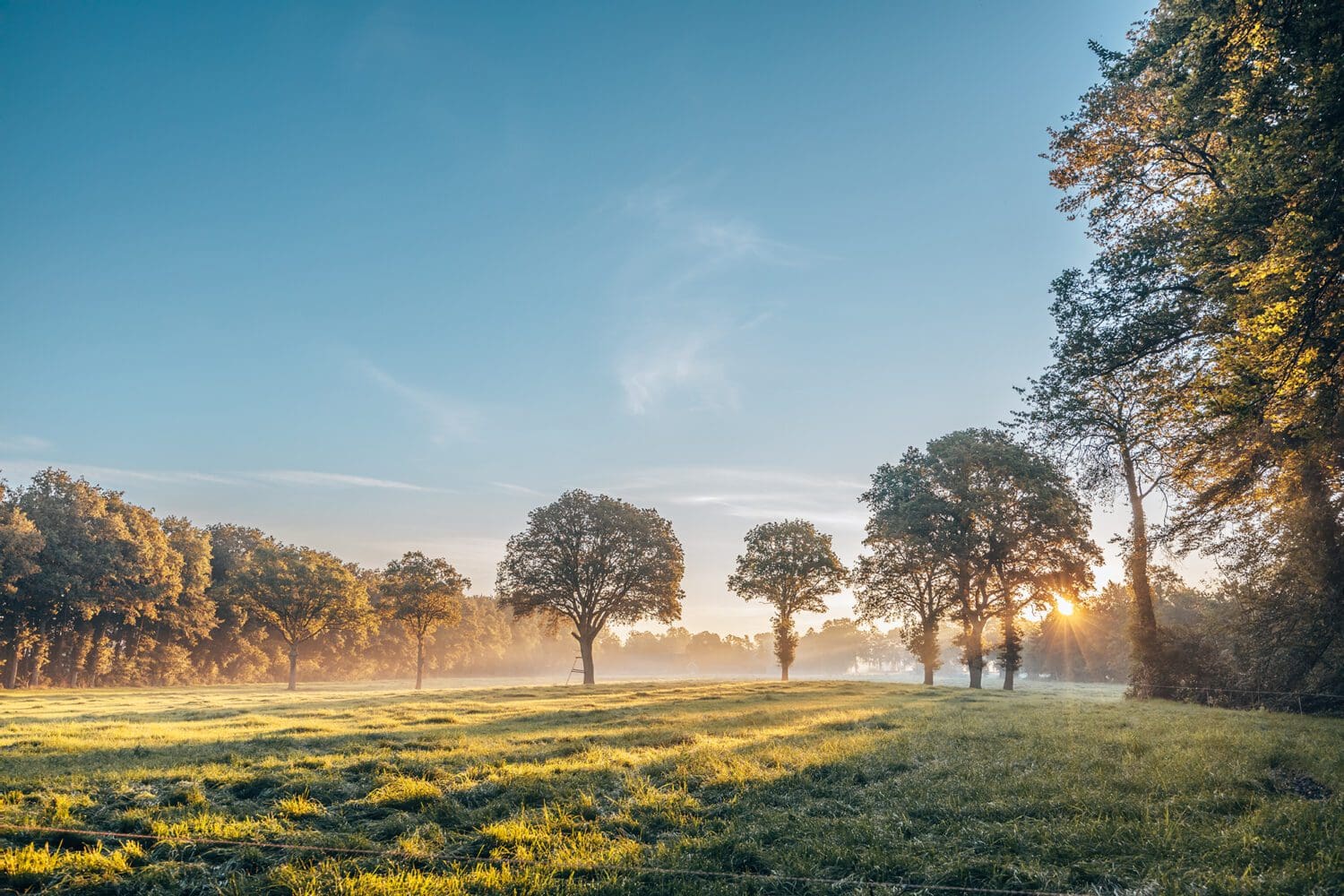 vensterbaankiesroute blauw