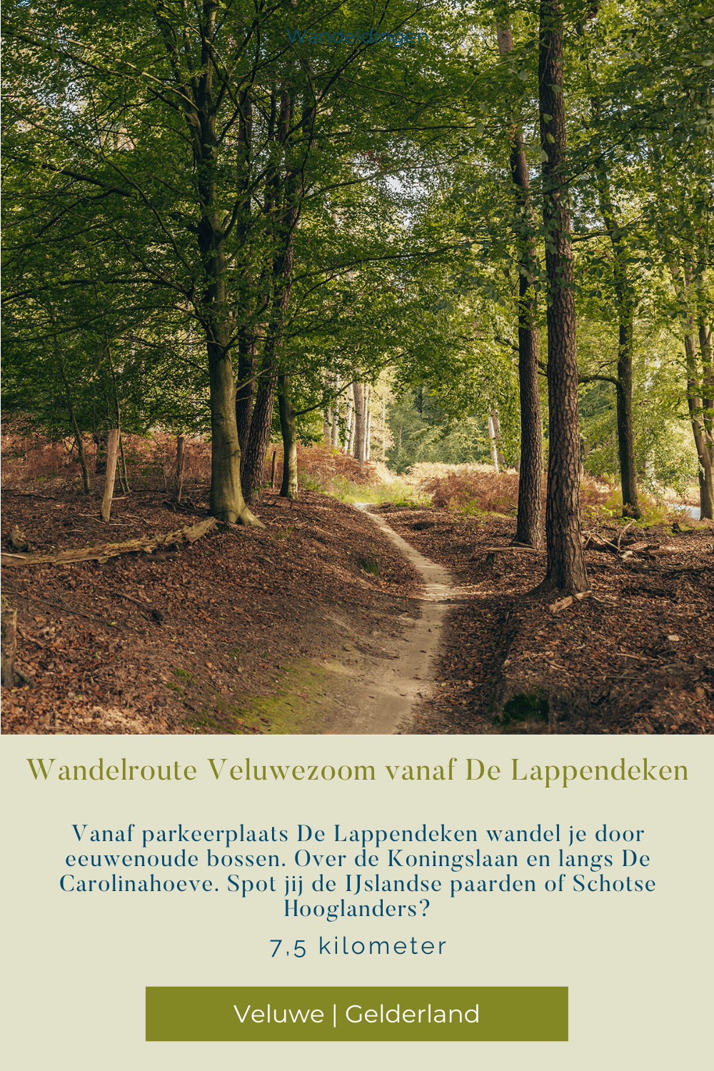 de lappendeken