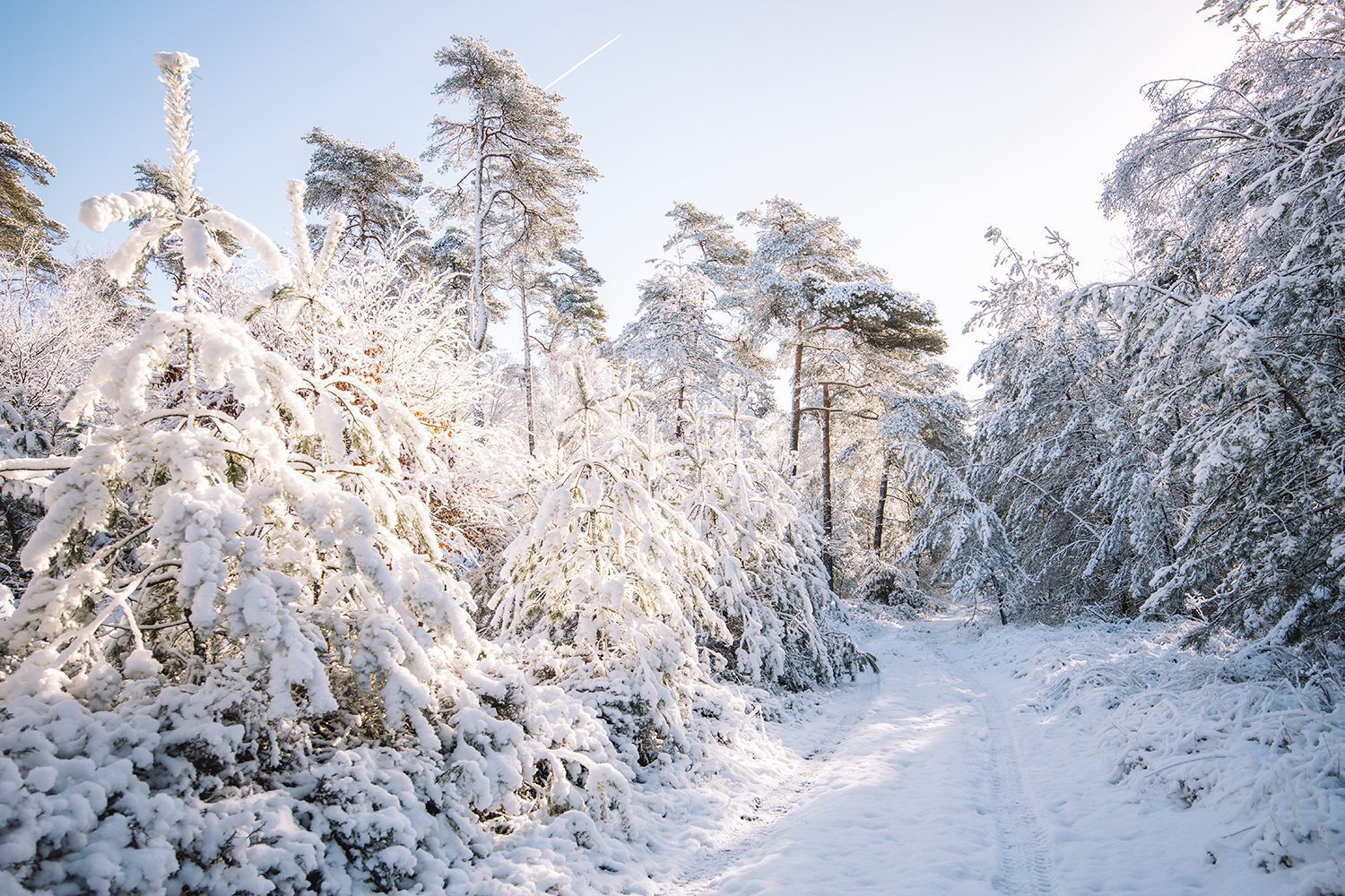 wandelen in de winter