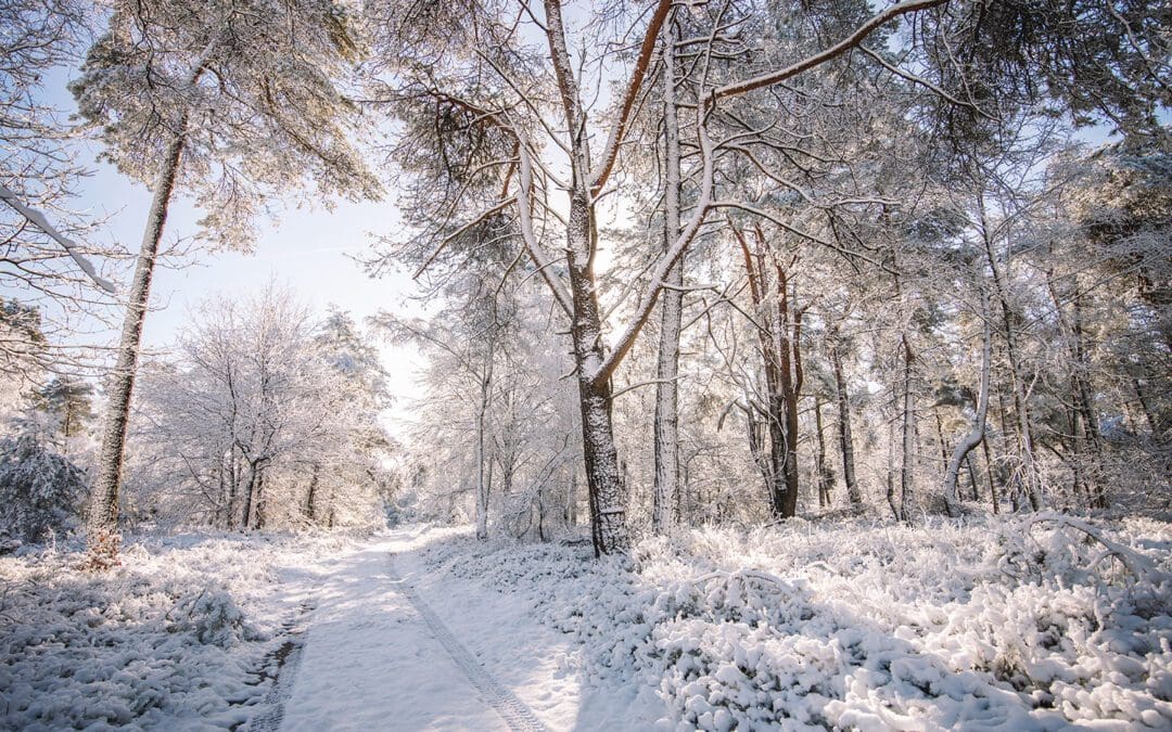 wandelen in de winter