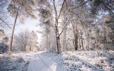 9 Tips voor wandelen in de winter