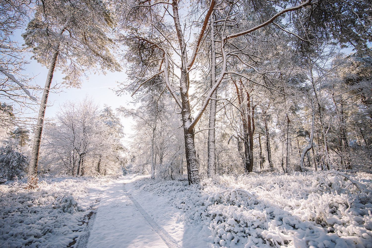 wandelen in de winter