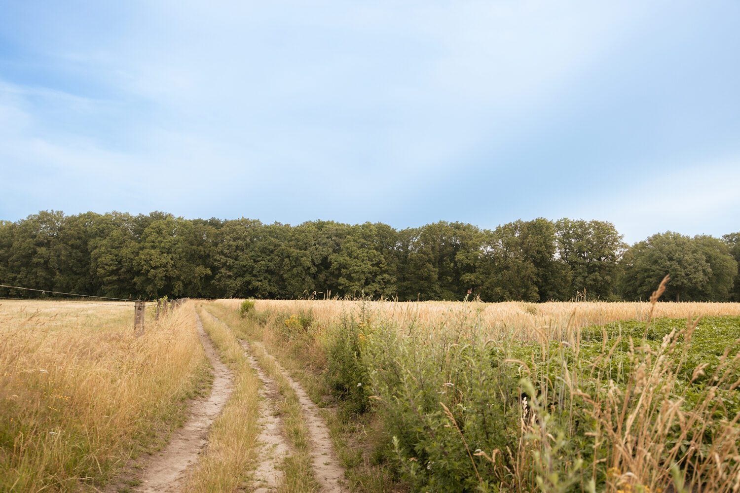 wandelen in gelderland