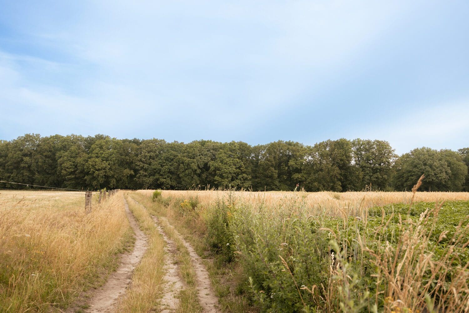 wandelen in gelderland