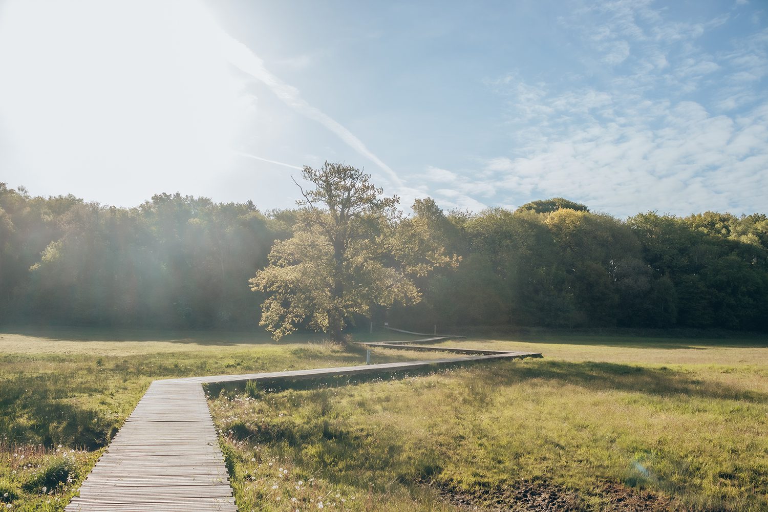 wandelen in gelderland