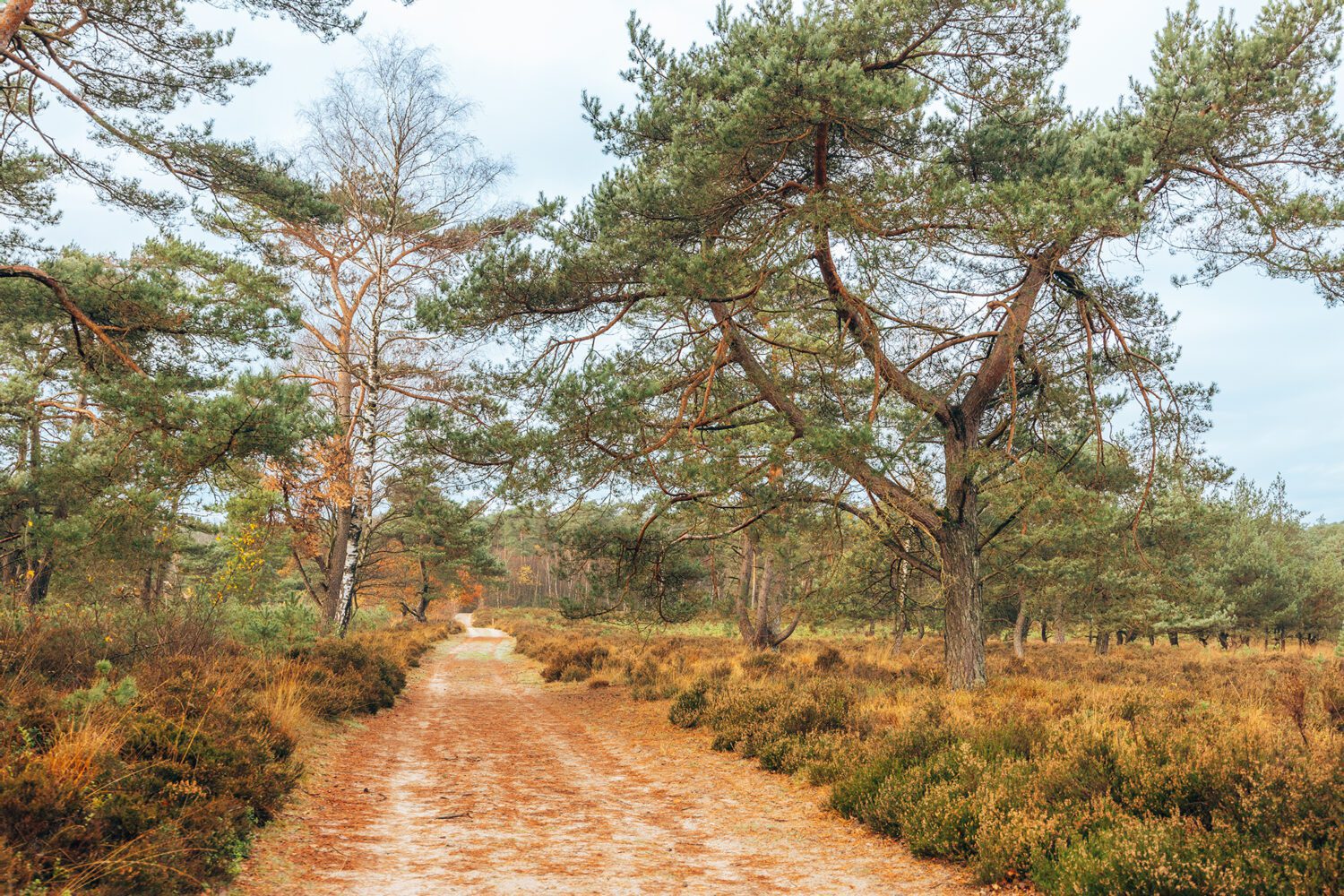 landgoed tongeren