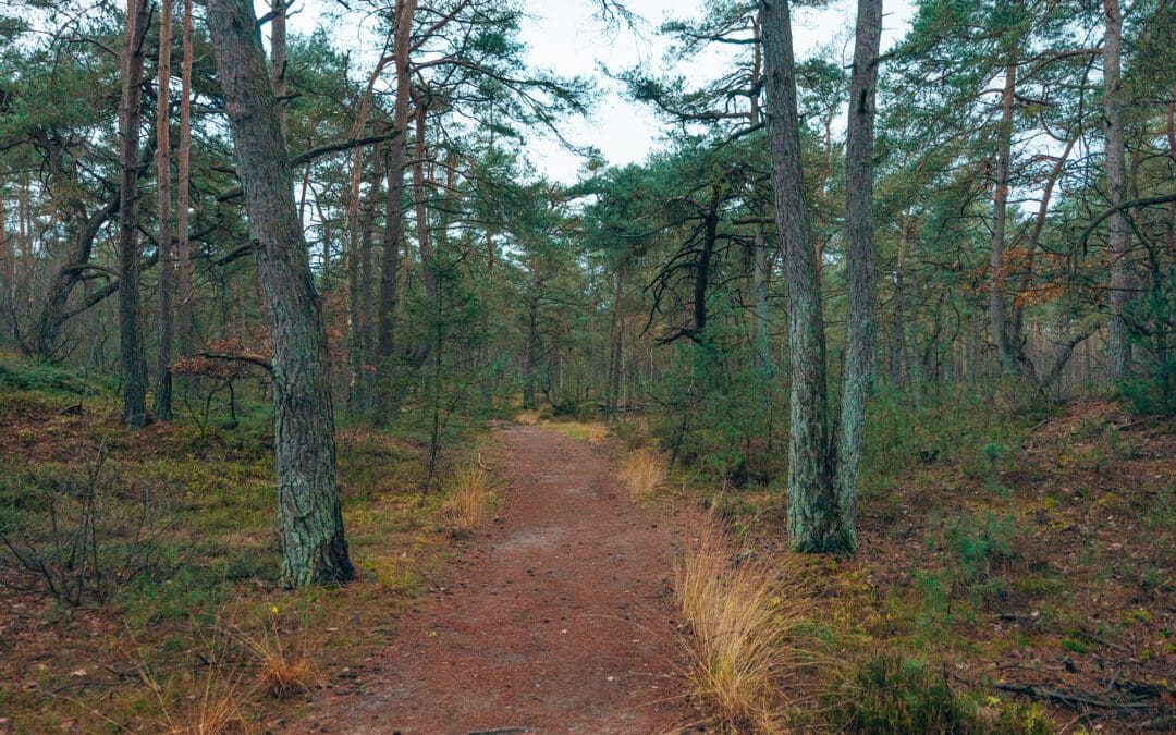 wandelroute Coldenhove