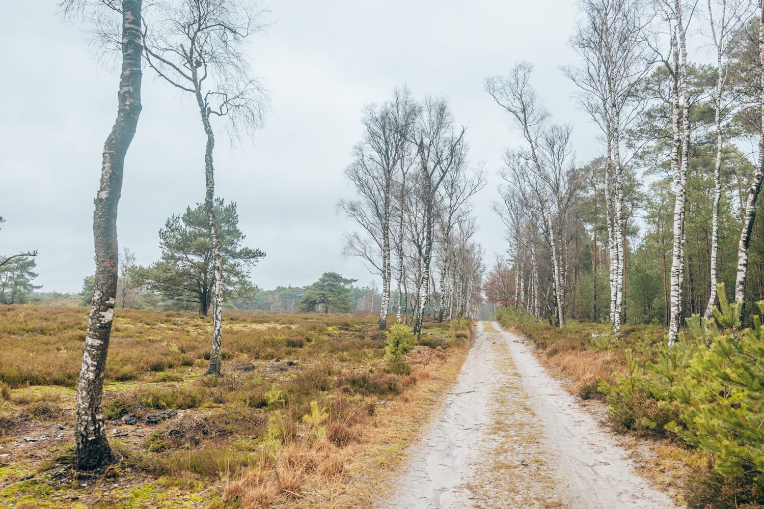 Komootroute Landgoed Welna