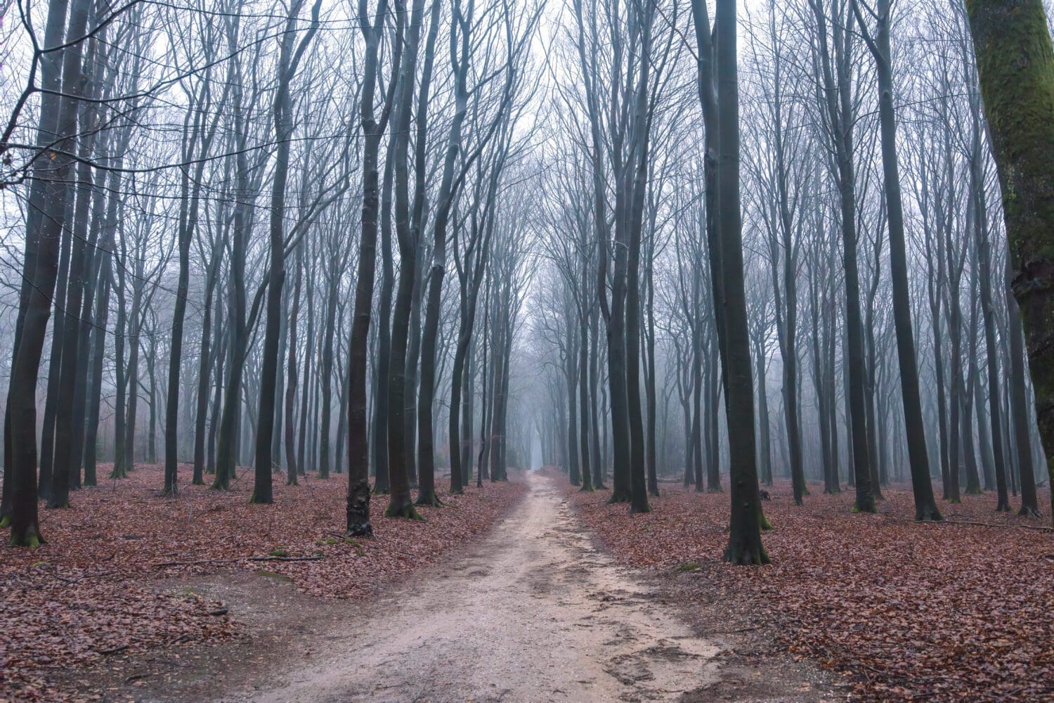 Komootroute Speulderbos