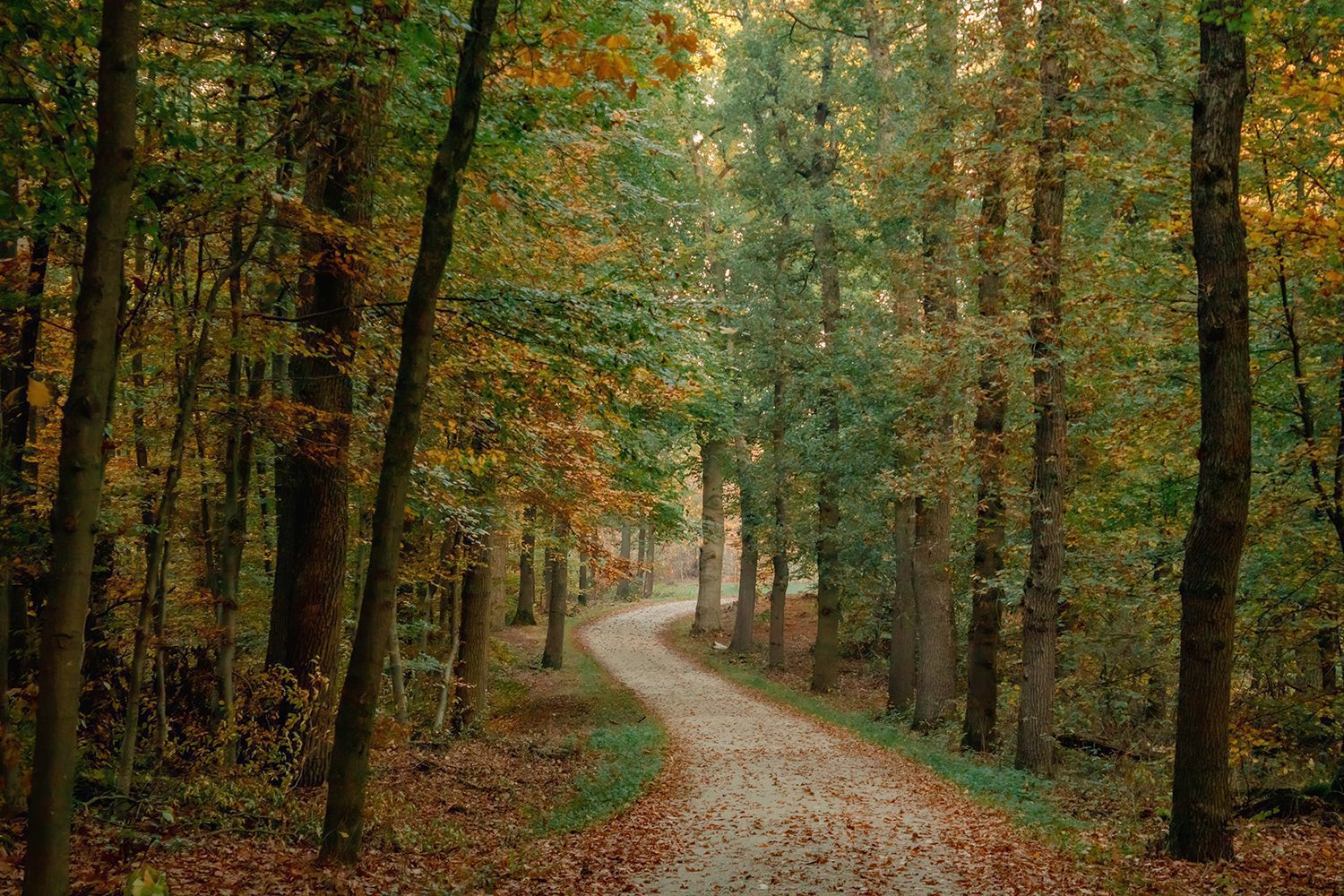 wandelen nederlandse landgoederen