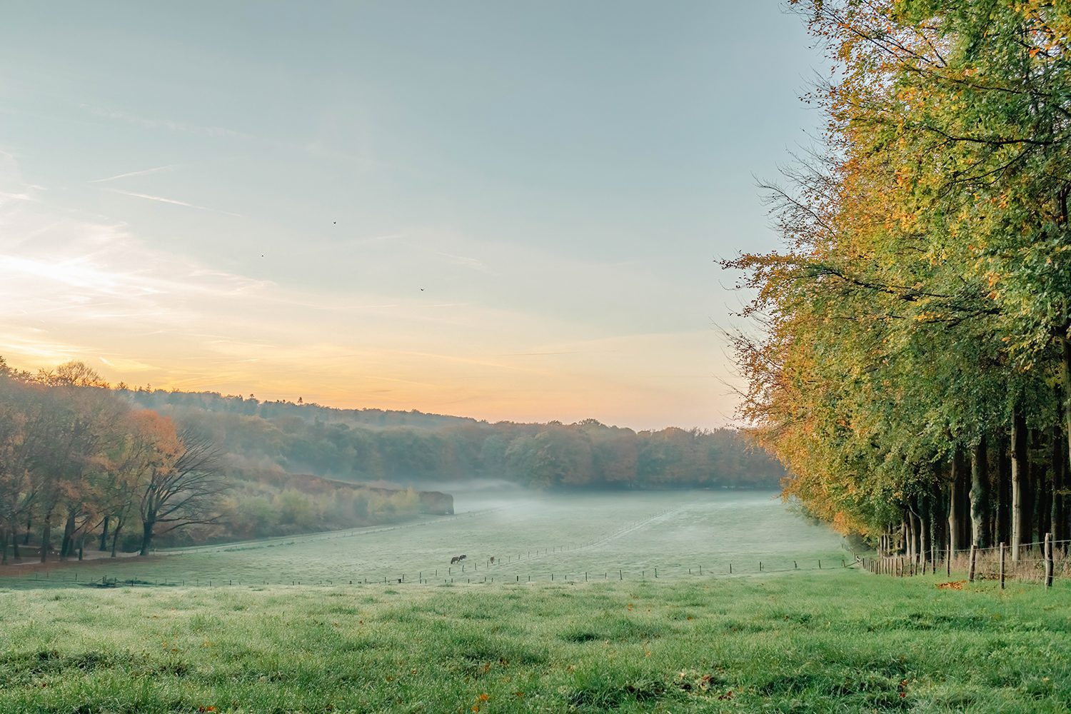 wandelen nederlandse landgoederen