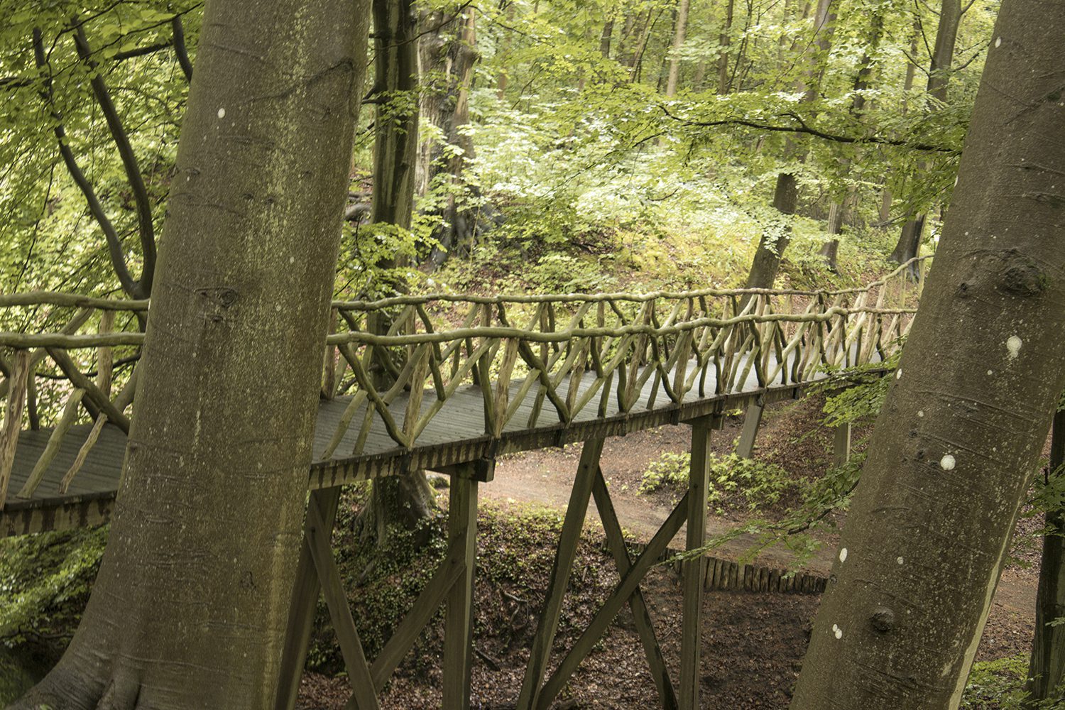 wandelen nederlandse landgoederen