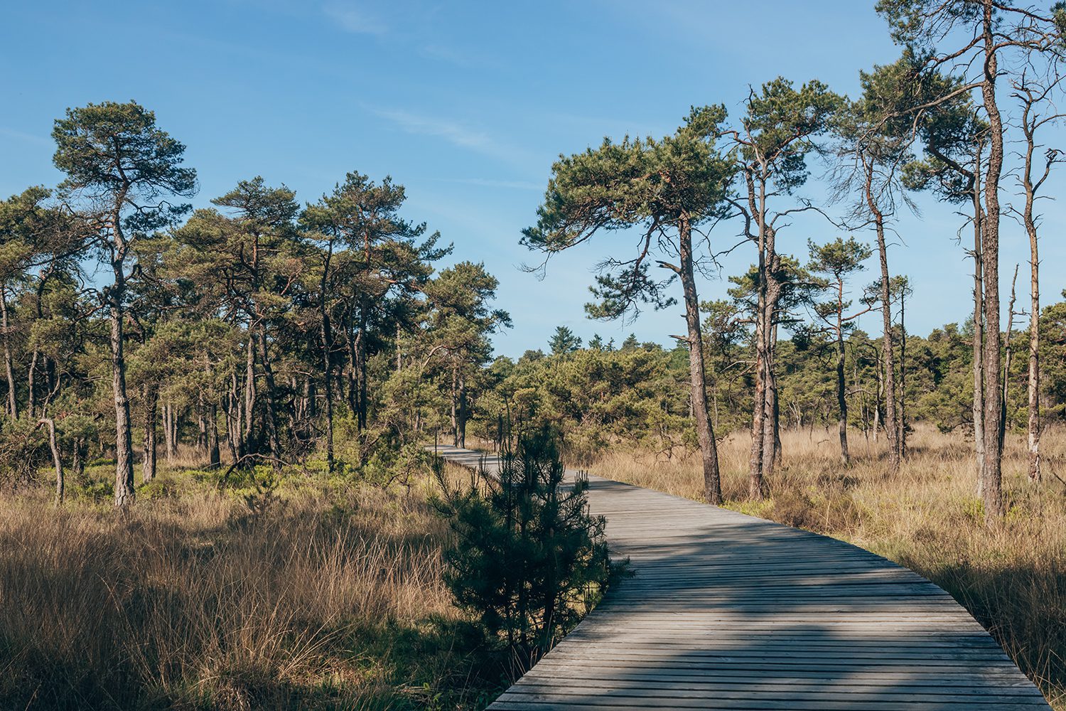 wandelen nederlandse landgoederen