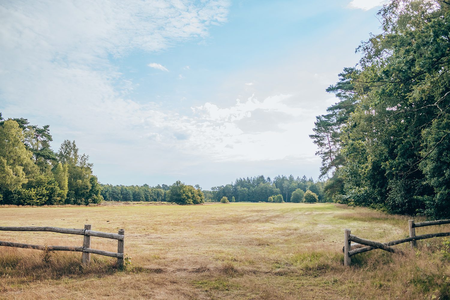 wandelen nederlandse landgoederen