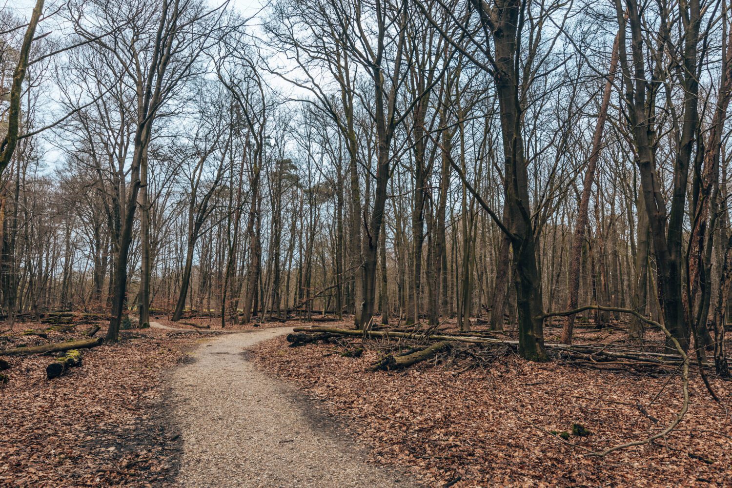 wandelroute Rollekoot