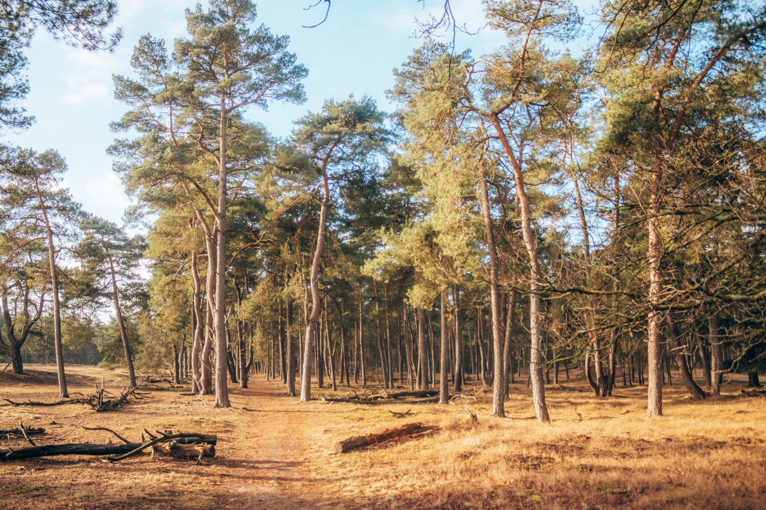 wandelen Maarn