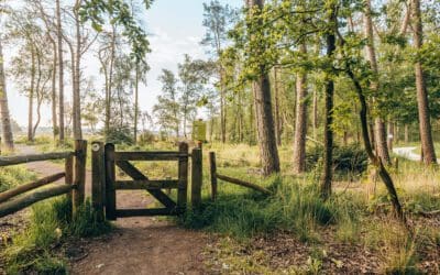 8x Wandelen rondom Maarn