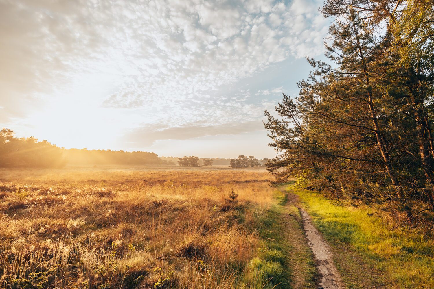 wandelen Maarn