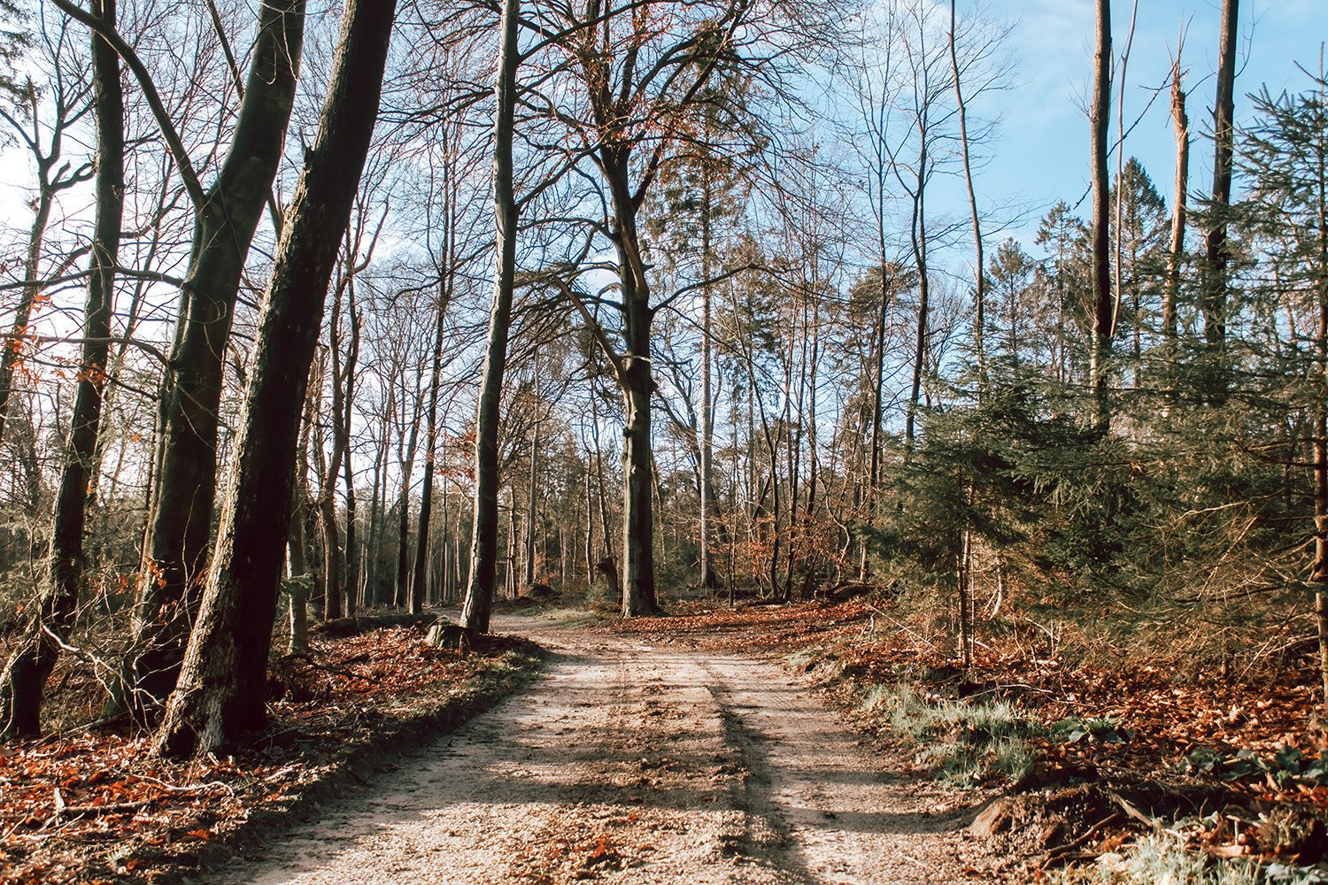 wandelen Maarn