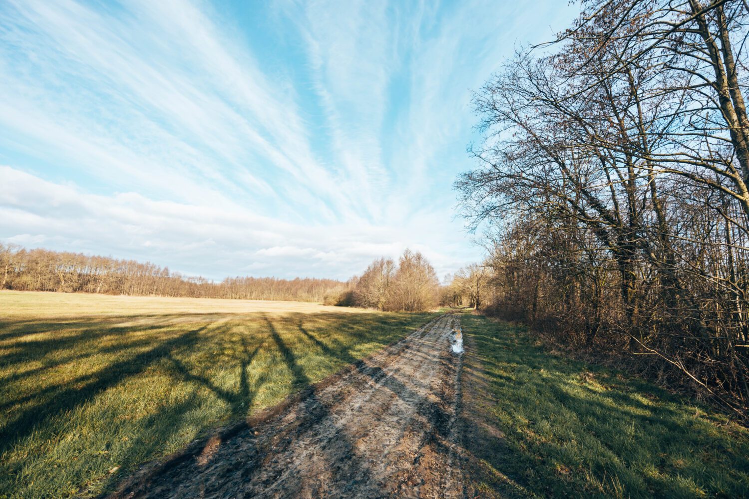 Komoot Balloerveld