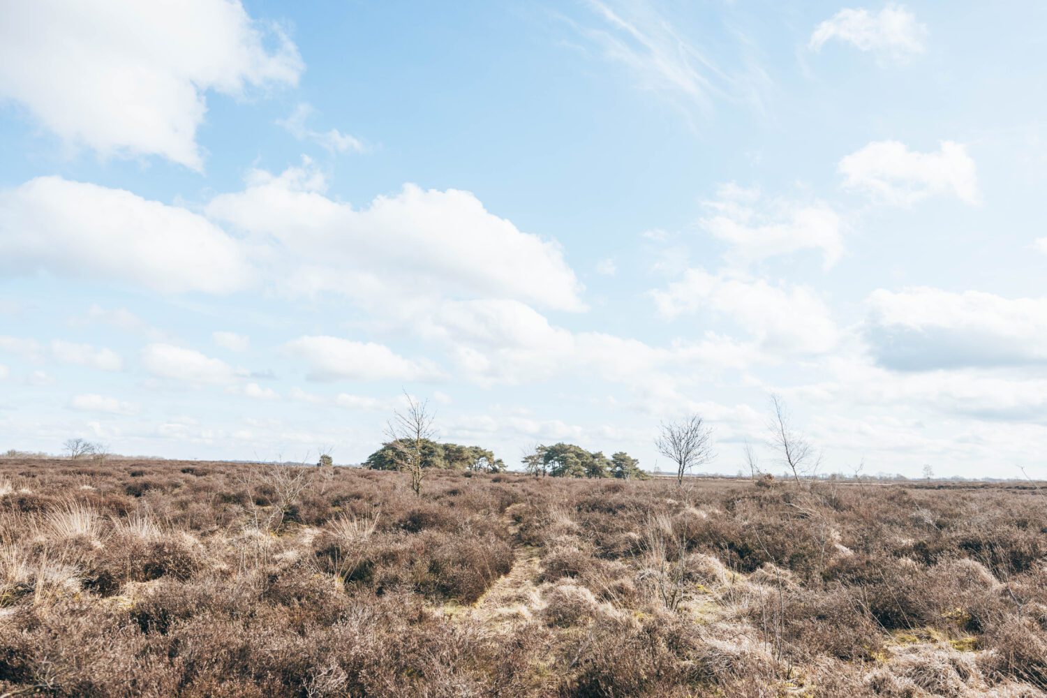 Komoot Balloerveld