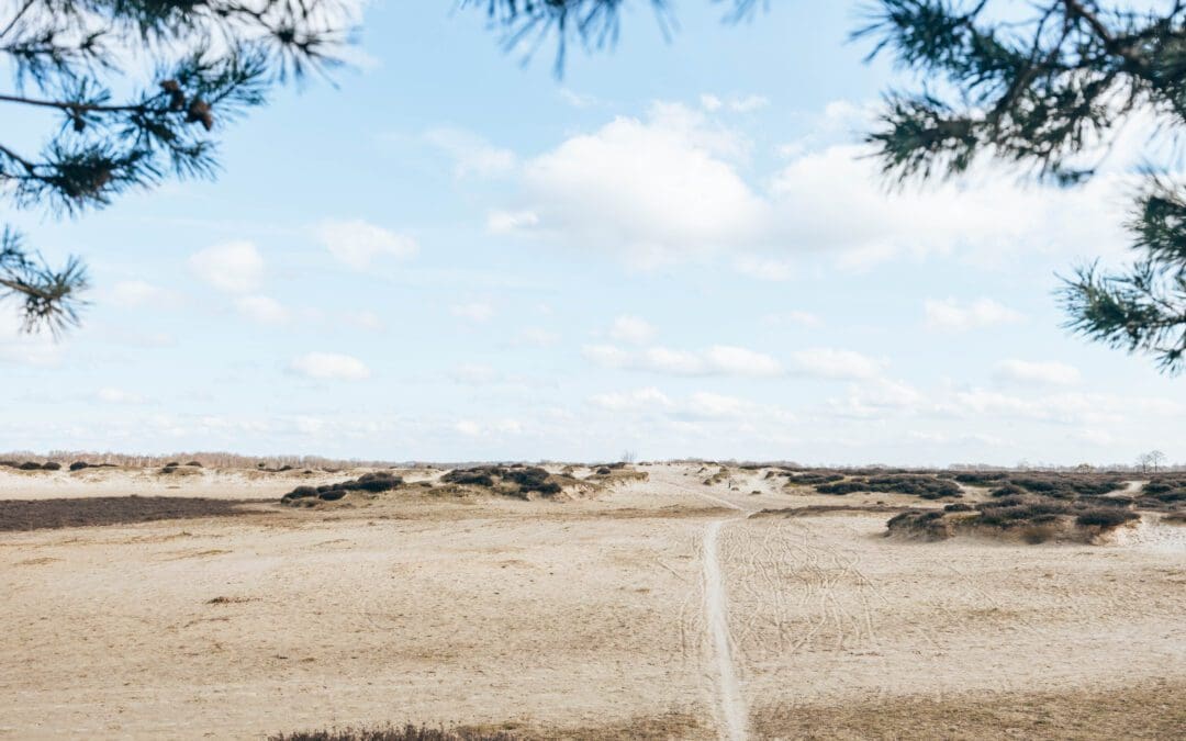 Komootroute Balloërveld
