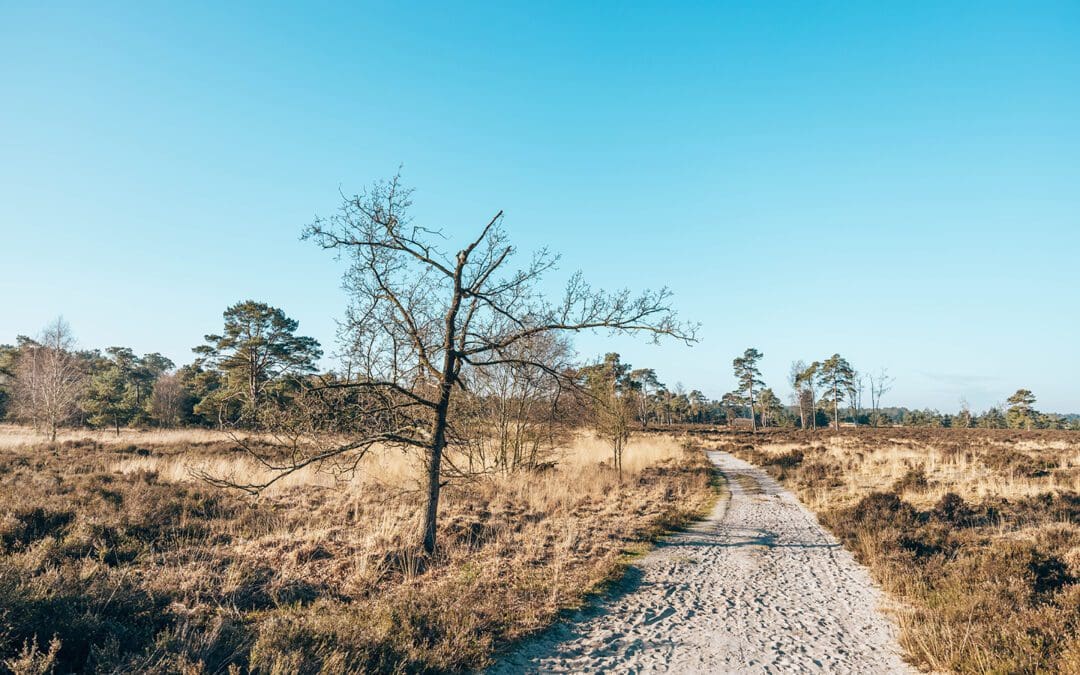 kriekelarenduinen