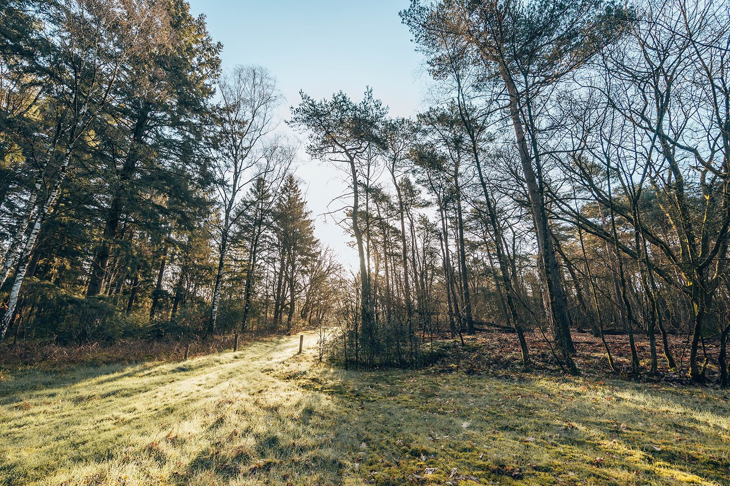 vliegveld soesterberg