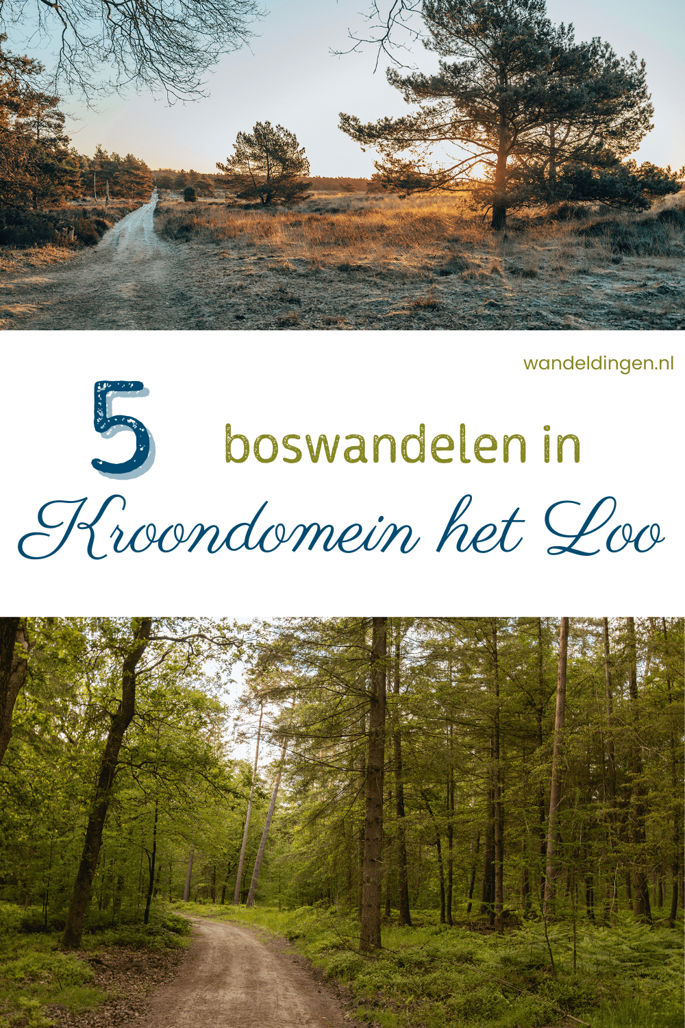 boswandeling kroondomein