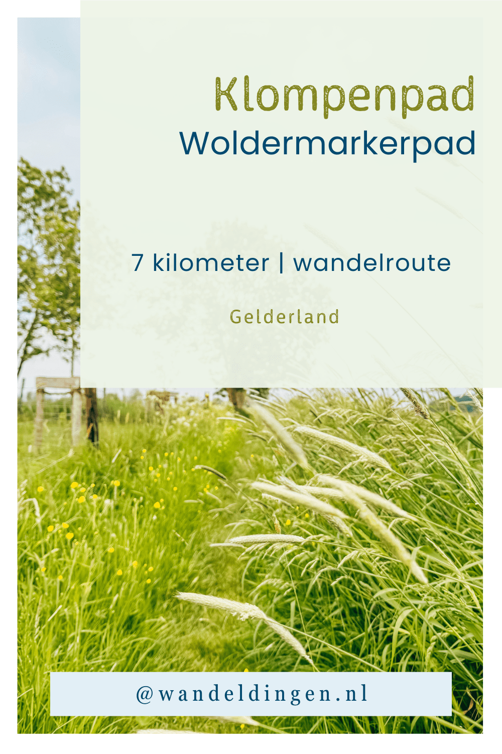 woldermarkerpad