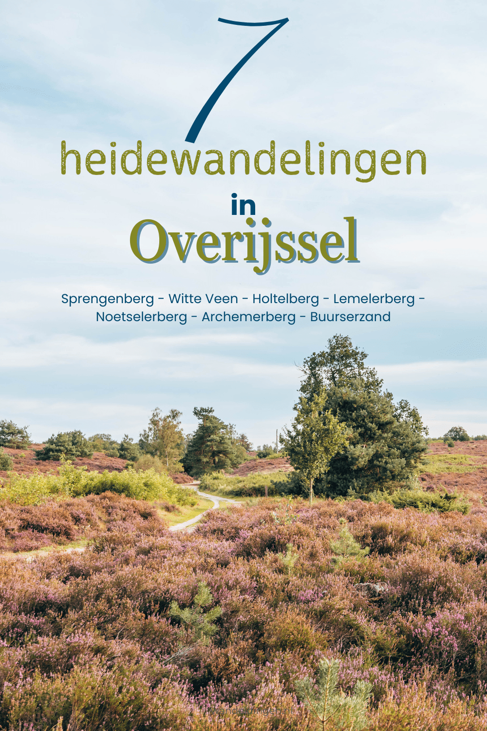 heidewandelingen Overijssel