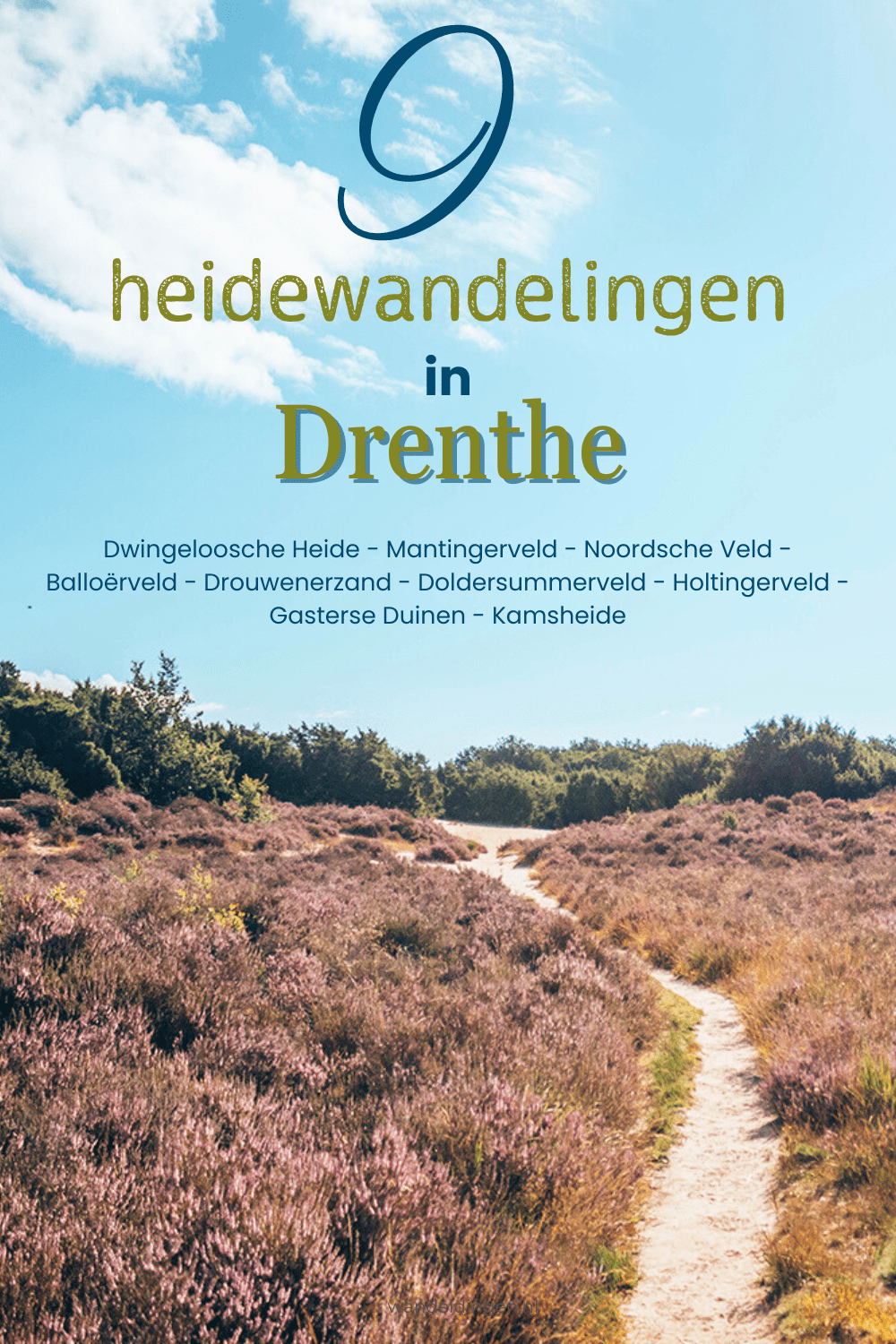 heidewandelingen Drenthe