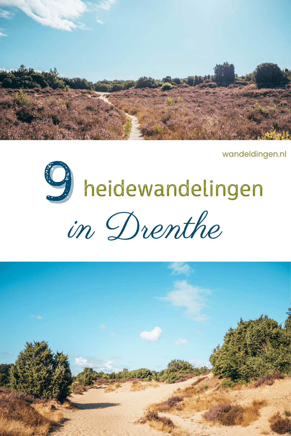 heidewandelingen Drenthe