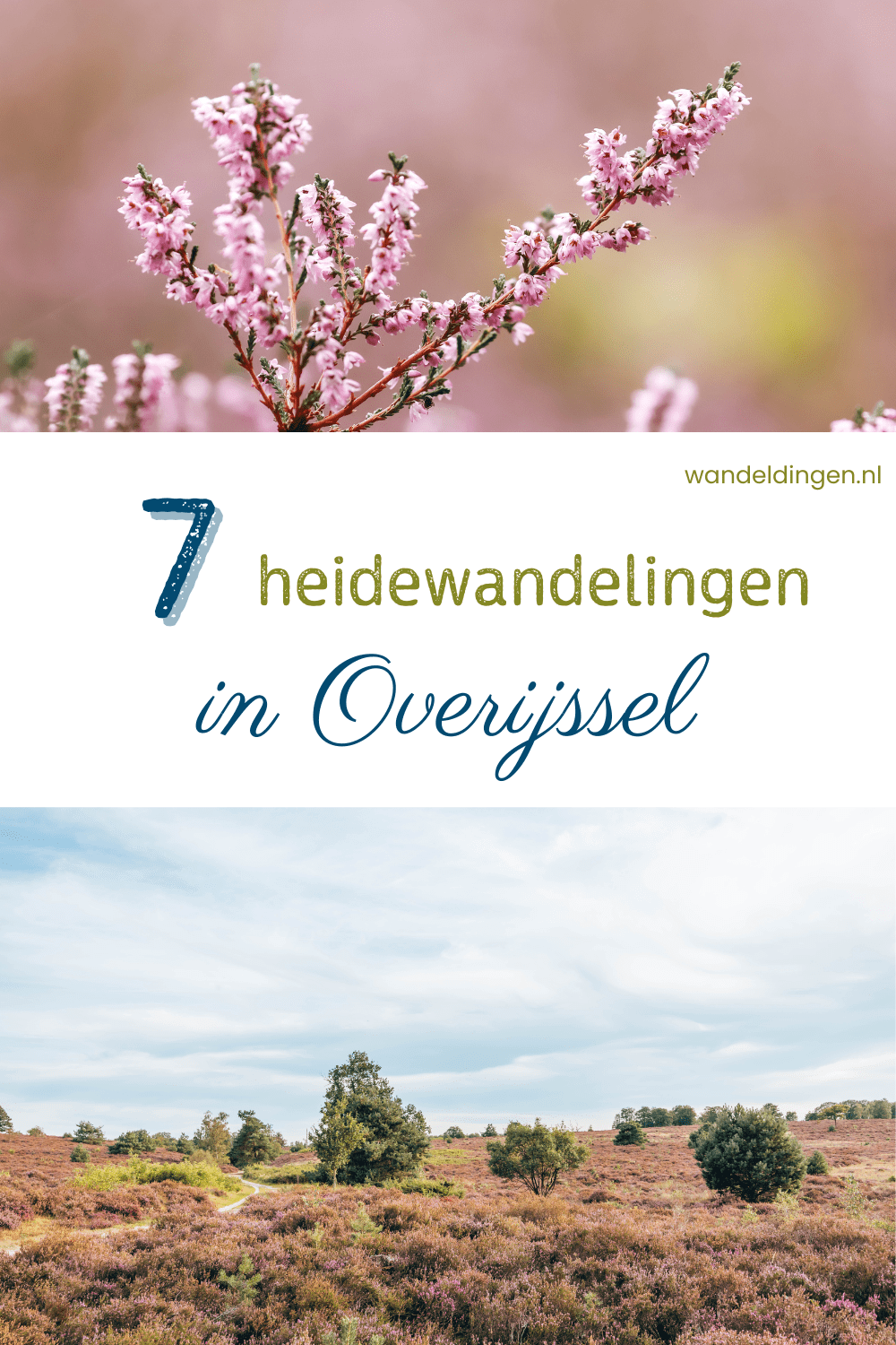 heidewandelingen Overijssel