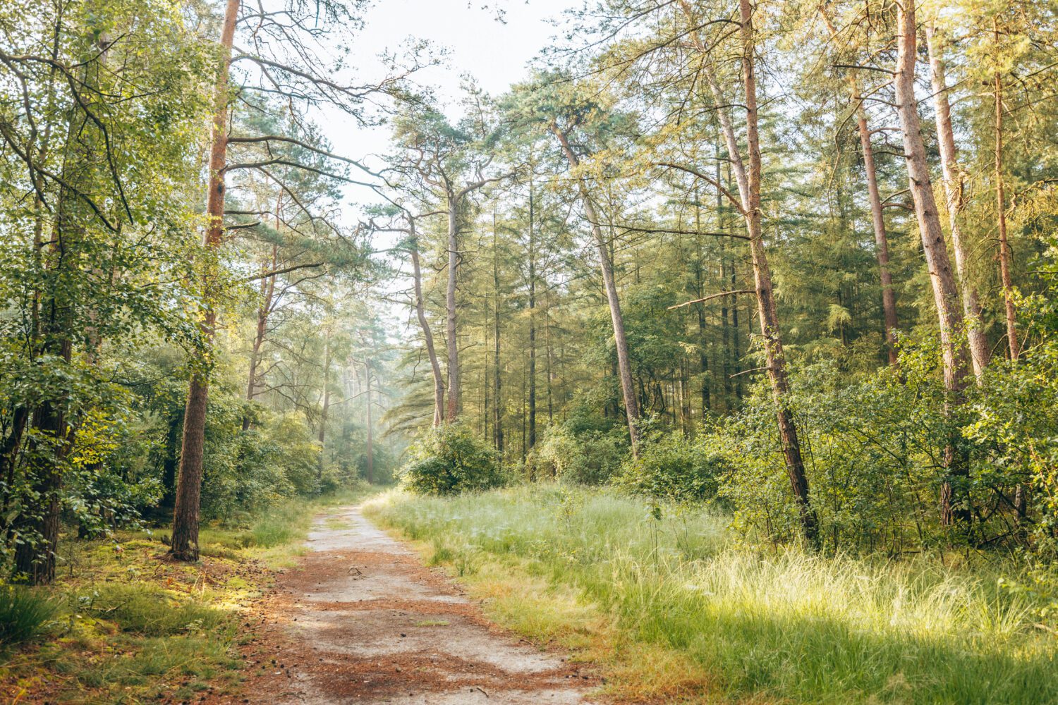 netwerkwandeling landgoed eerde